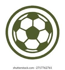 德天空：拜仁仍然有意马利克-福法纳和赛义德-马拉